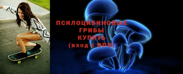 амф Надым
