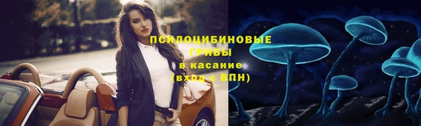 гашик Беломорск