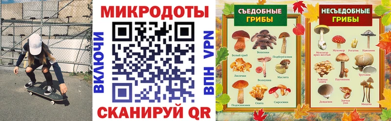 блэк спрут зеркало  Нововоронеж  Псилоцибиновые грибы GOLDEN TEACHER  купить наркоту 