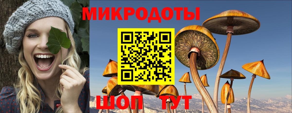 Нововоронеж  Псилоцибиновые грибы мицелий  Вход с VPN 