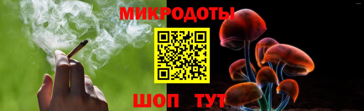 Псилоцибиновые грибы Psilocybe Нововоронеж